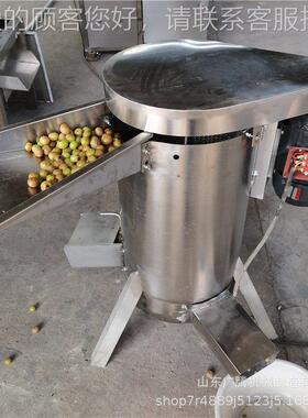 榴莲核脱核机浆 304不锈钢耐用水去果去核打业机 YFJ工余甘酸枣去