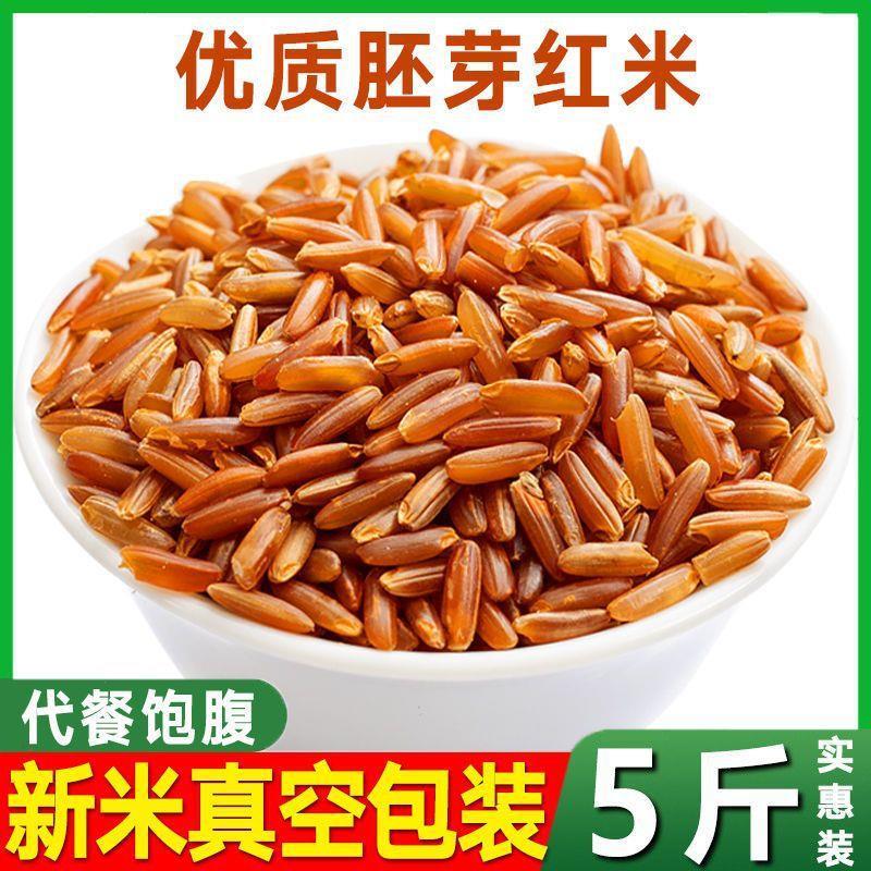 农家红米糙5斤新梯田特