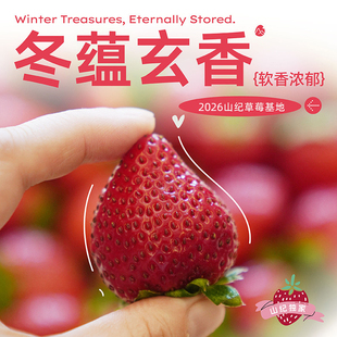 预【山纪生鲜】 冬蕴玄香草莓/软香浓郁/约700g