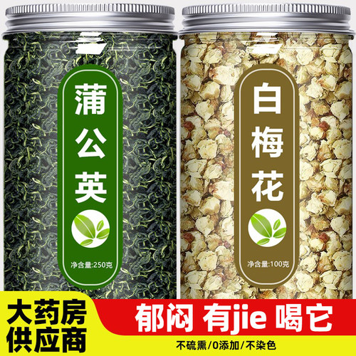蒲公英和白梅花中药材茶野生