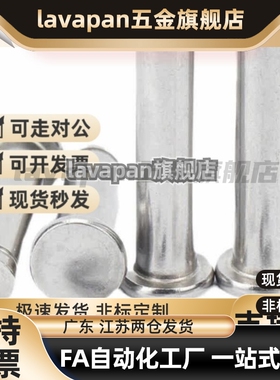 替SHCDG8/10/12-15/16/18/20/25/30/35/40/45/50铰链销HCDG HCDGH