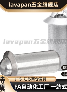 ZAL01/PFSSN 压入式球头柱塞碰珠滚珠弹簧不锈钢定位珠PFSSR