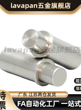 304平头型小径弹簧柱塞MPFL/MPFH1.5/2/3/4/5-1.5/3/4/6/8/9/12