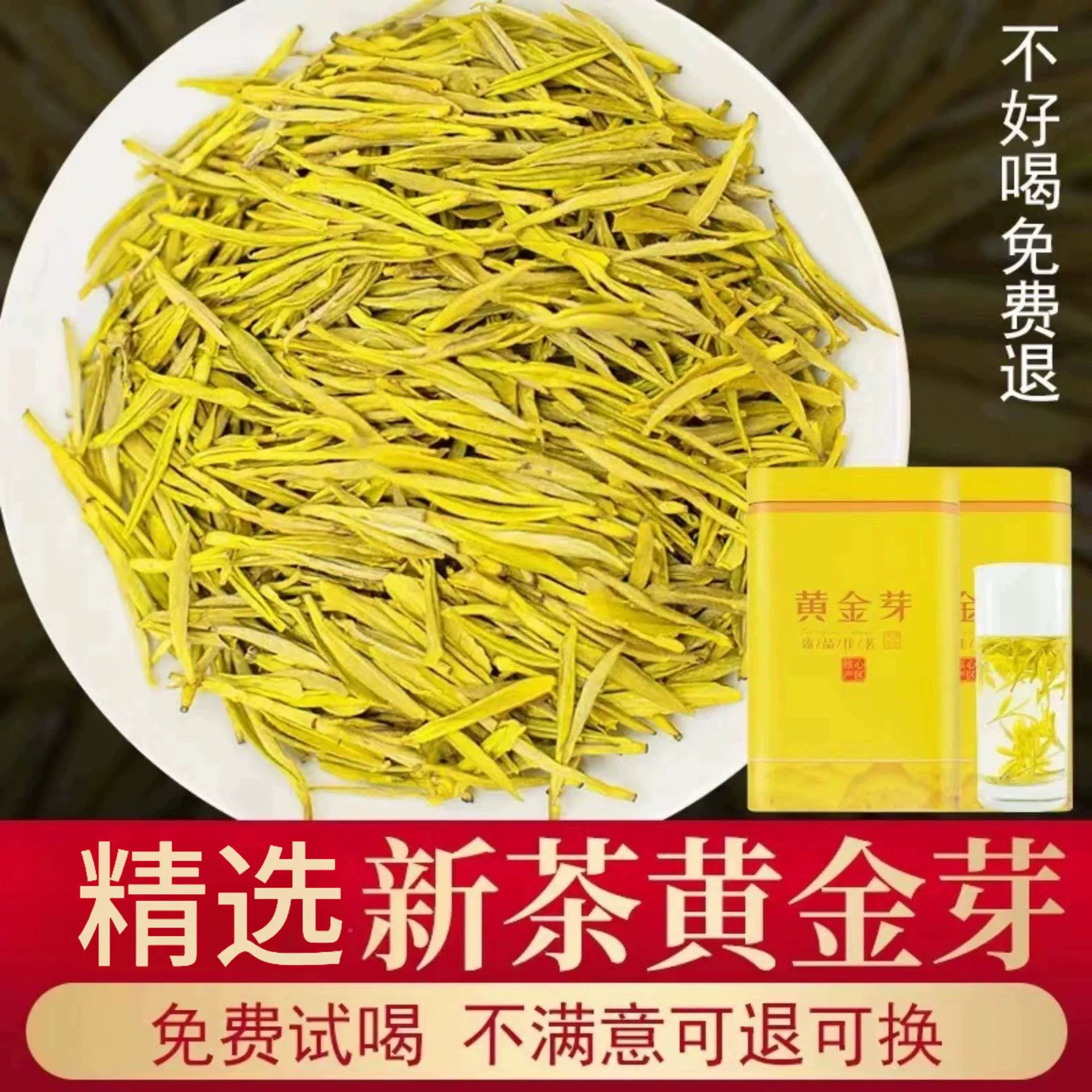 (美不过黄金汤 豆香味) 新春茶 黄金芽嫩芽 绿茶茶叶