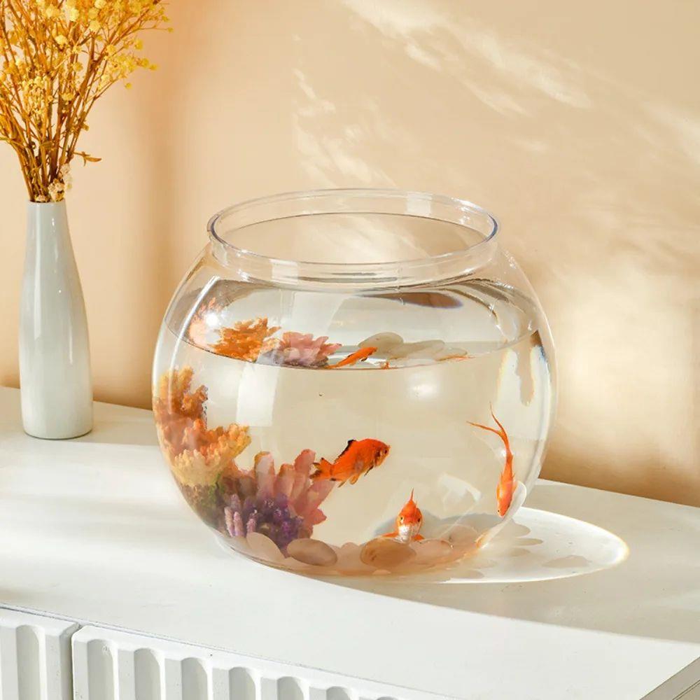 Sturdy Nicely Betta Fish Bowl Small Aquariums for Small Orna