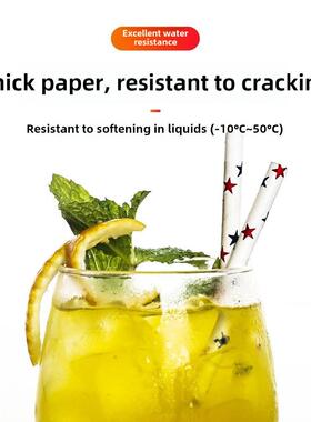 100pcs/Set Black Cocktail Straws Black Plastic Straw For Bir