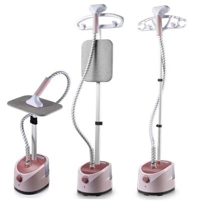 electric compact iron steam soleplate clothes steamer 熨斗