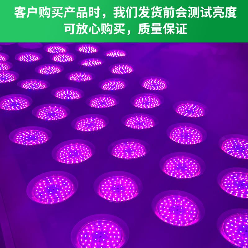 全光谱LED温室大棚花卉蔬菜草莓蓝莓黄瓜葡萄育苗多肉植物补光灯