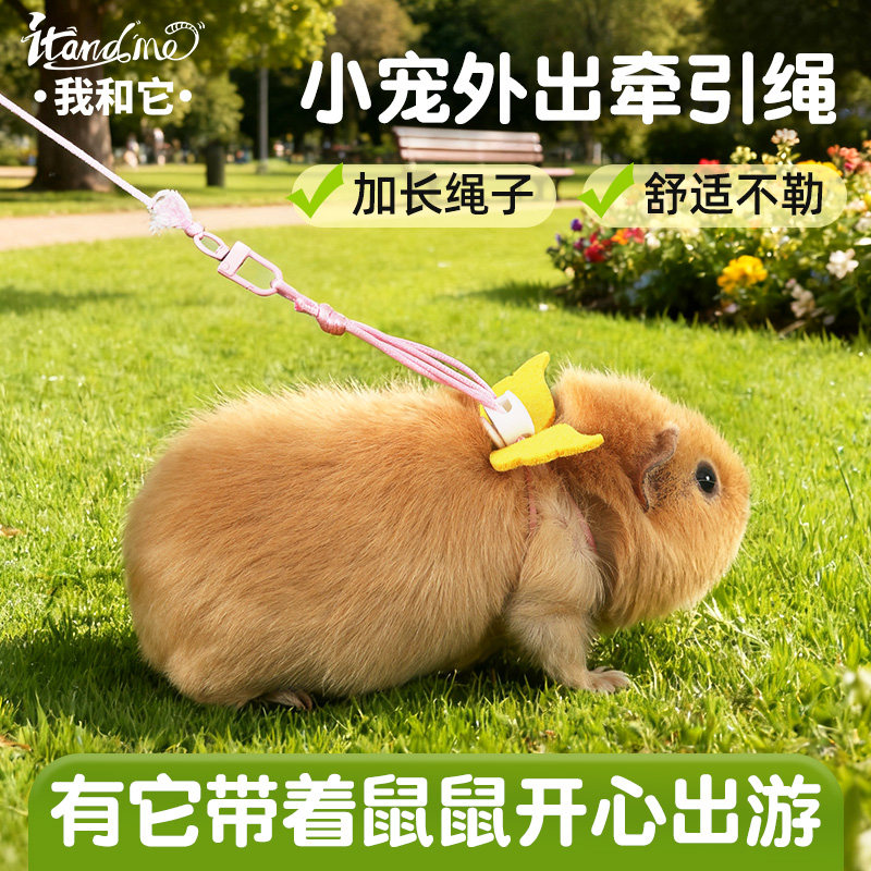 我和它仓鼠荷兰猪豚鼠牵引绳溜鼠绳金丝熊兔子绳宠物外出绳子用品,宠物/宠物食品及用品,玩具/造景装饰,淘宝优惠券,粉丝福利购,淘宝优惠卷