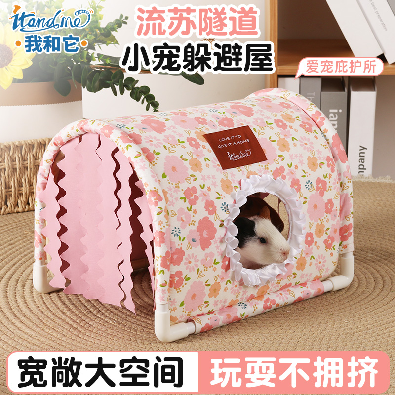 我和它荷兰猪兔子躲避窝豚鼠无底