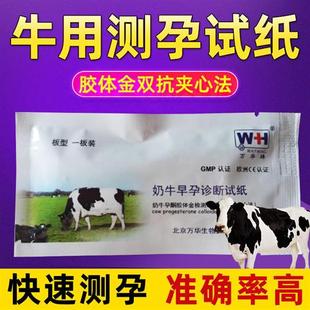 牛用测孕试盒 母牛怀孕检测试剂盒 早孕测试纸 养牛设备 畜牧用品