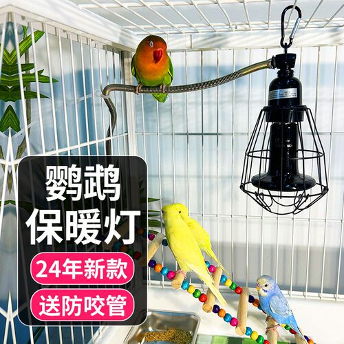 宠物鹦鹉专用无光保温灯鸟冬天自动温控加热设备保暖灯取暖器陶瓷