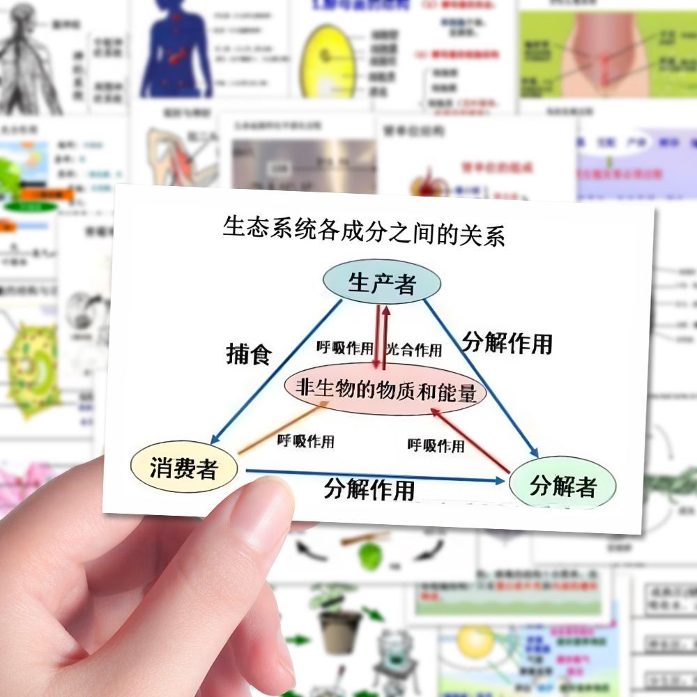 学霸笔记初中生物重难点图解贴纸手账素材diy装饰手机壳贴画