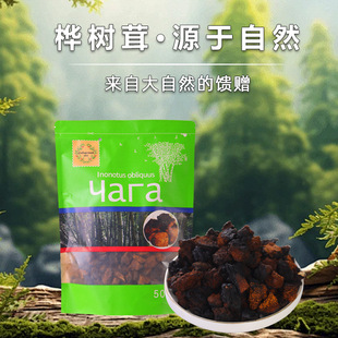 桦树茸白桦茸桦褐孔菌精选手挑黑皮颗粒500克/袋