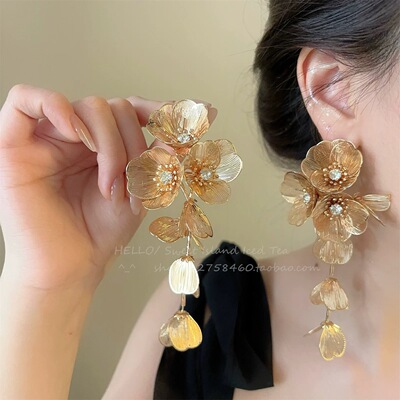 小众欧美长款流苏高级感耳饰夸张