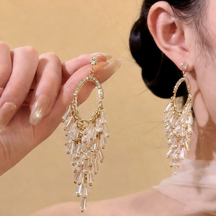 时尚夸张流苏耳环轻奢高级感耳钉女长款气质大气耳饰2026新款爆款