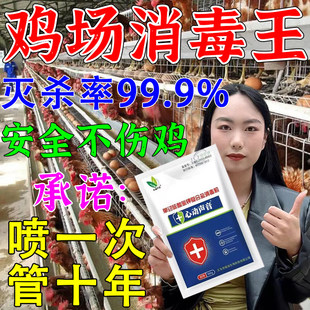 鸡圈专用消毒液水鸡舍场消毒粉养殖场鸭圈鹅棚家禽新城疫鸡瘟兽用