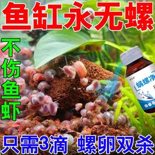 鱼缸除螺剂灭螺药涡虫苹果螺扁螺杂螺囊螺水螅不伤鱼虾水族缸草缸