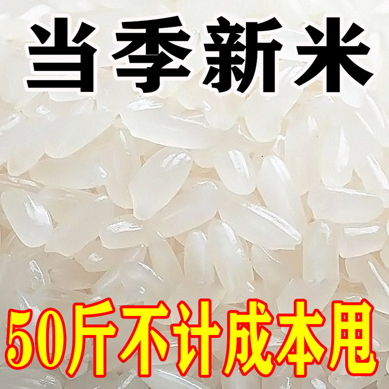 【亏本特价】正宗五常大米新米长粒香5斤2.5kg香米现磨米厂批发