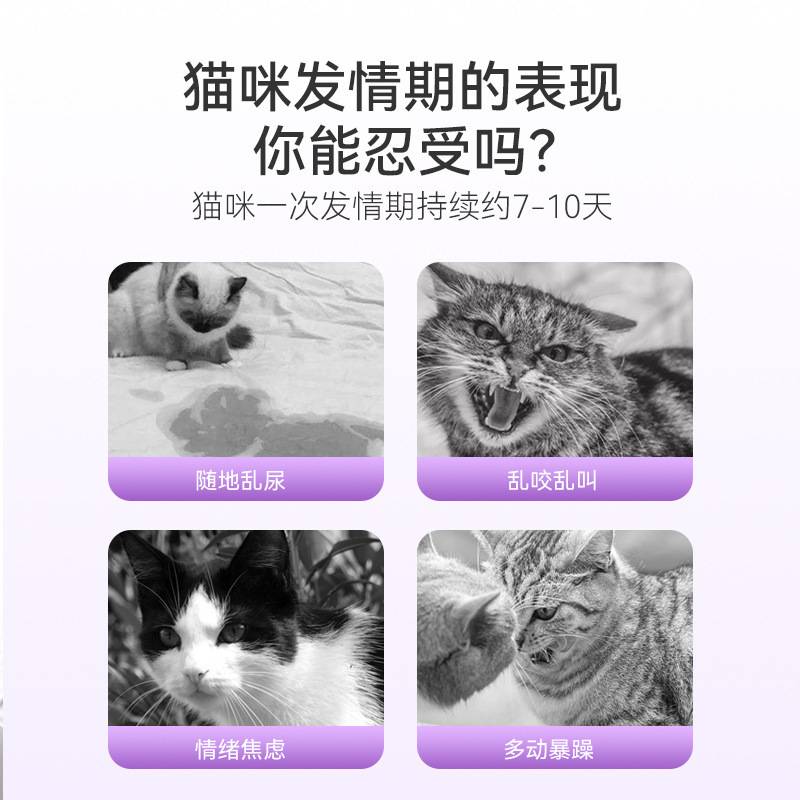 猫咪发禁情喷剂宠物专用禁情欲抑制母猫发闹免绝育忘情禁情喷雾剂