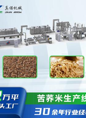 方便米饭加工机械设备复合营养米生产线苦荞米双螺杆挤压膨化机