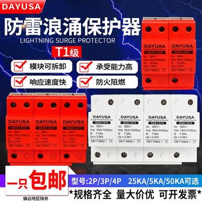 一级浪涌保护器防雷器2P家用三相4p打雷避雷器spd模块促销包邮