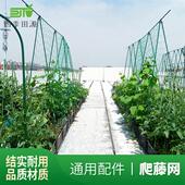 园艺爬藤网百香果专用网葡萄植物攀爬种植藤曼花卉尼龙网搭架网