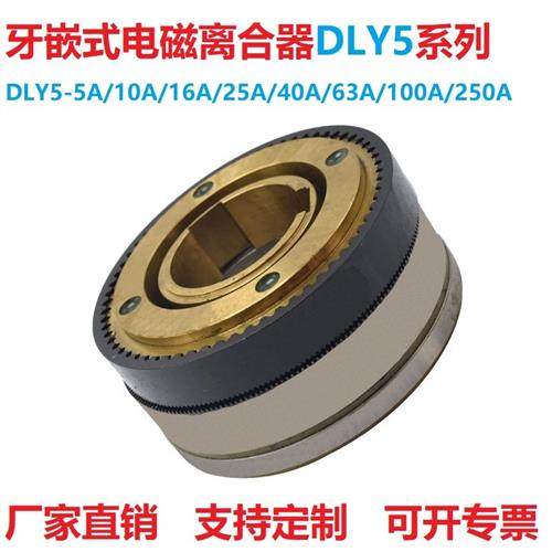牙嵌式多片电磁离合器湿式24V大扭矩DLY5-5A10A16A40A63A100A400A