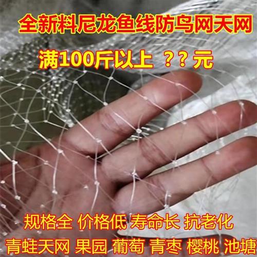防鸟网 葡萄网 水稻谷子网鱼塘防护枸杞网青蛙网尼龙天网果园网