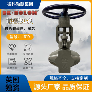 高温高压电站锻钢截止阀 J61Y H锻造焊接截止阀 可拆卸阀座 阀芯