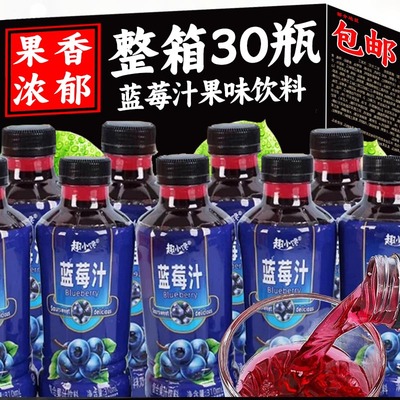 网红蓝莓汁果味饮料整箱