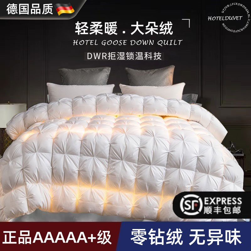 德国进口白鹅绒丝冬被子棉被芯