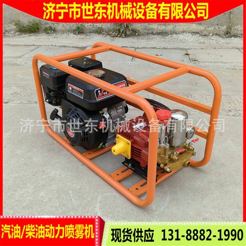 供应3WH-26型柱塞泵打药机 世东农林汽油喷雾机园林喷灌打药机,农机/农具/农膜,打药机/弥雾机,淘宝优惠券,粉丝福利购,淘宝优惠卷