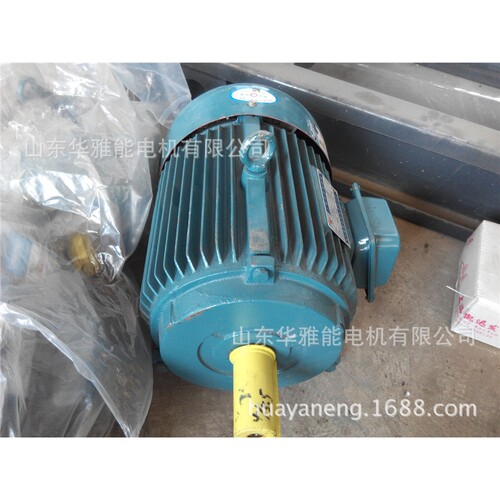 高效YE5法兰YE5-250M-4-55KW电机耐高温带防雨罩确保法兰外径尺寸