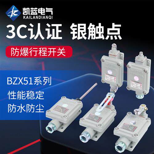 防爆行程开关限位B型BZX51-5Z/L/N/S/T DLXK15脚踏双踏柱塞滚轮
