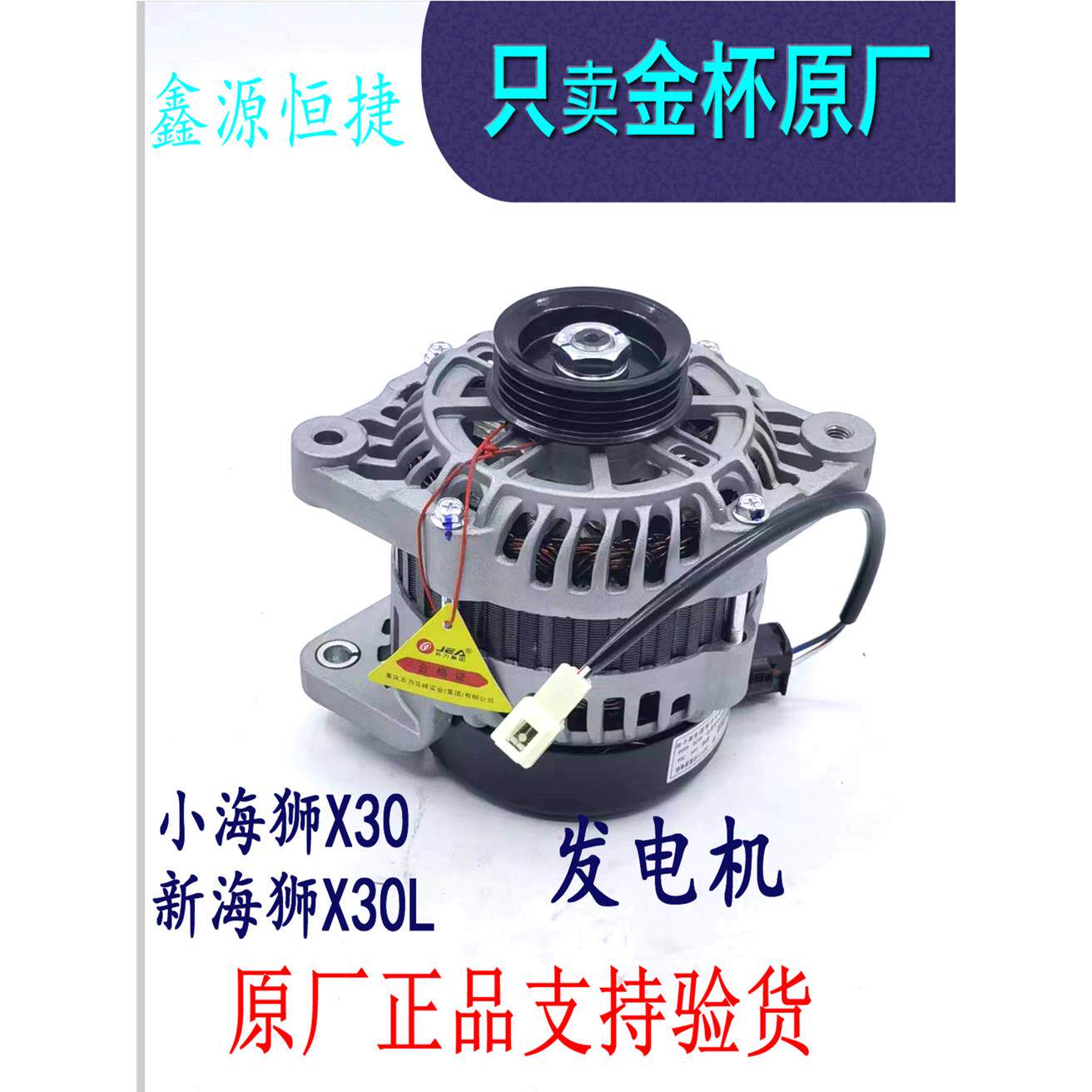 金杯小海狮X30新L发电