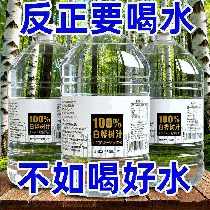 白桦树汁原汁天然原液玻璃瓶桦树水整箱装高端木本植物饮