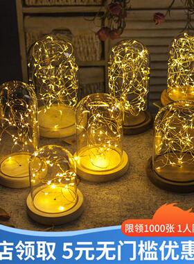 创意电池款火树银花灯防尘发光永生花玻璃罩展示盒带灯LED小夜灯