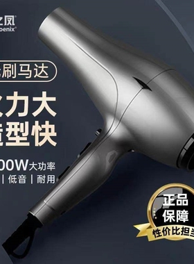 火之凤6600H电吹风机理发店发廊无刷电机正品风筒专用2400W发型师