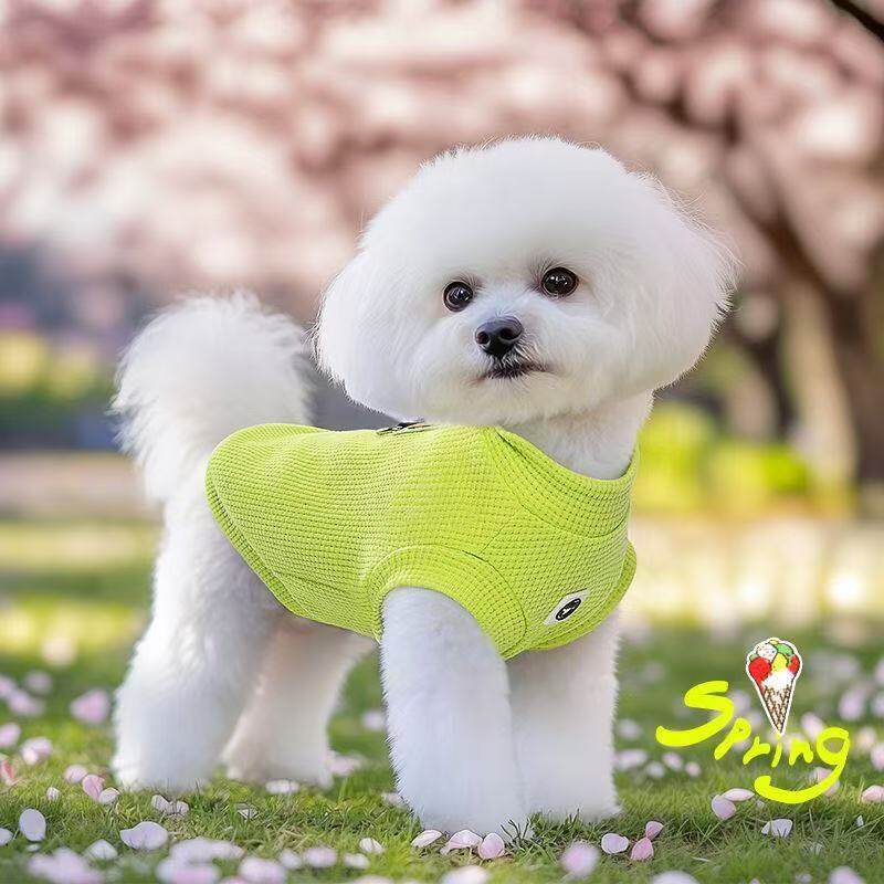 小狗狗衣服春秋款带牵引