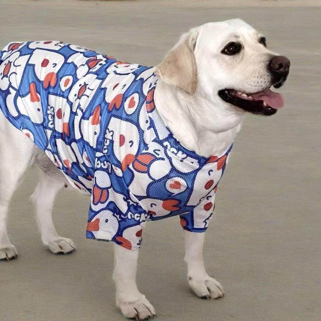 大狗狗衣服拉布拉多金毛