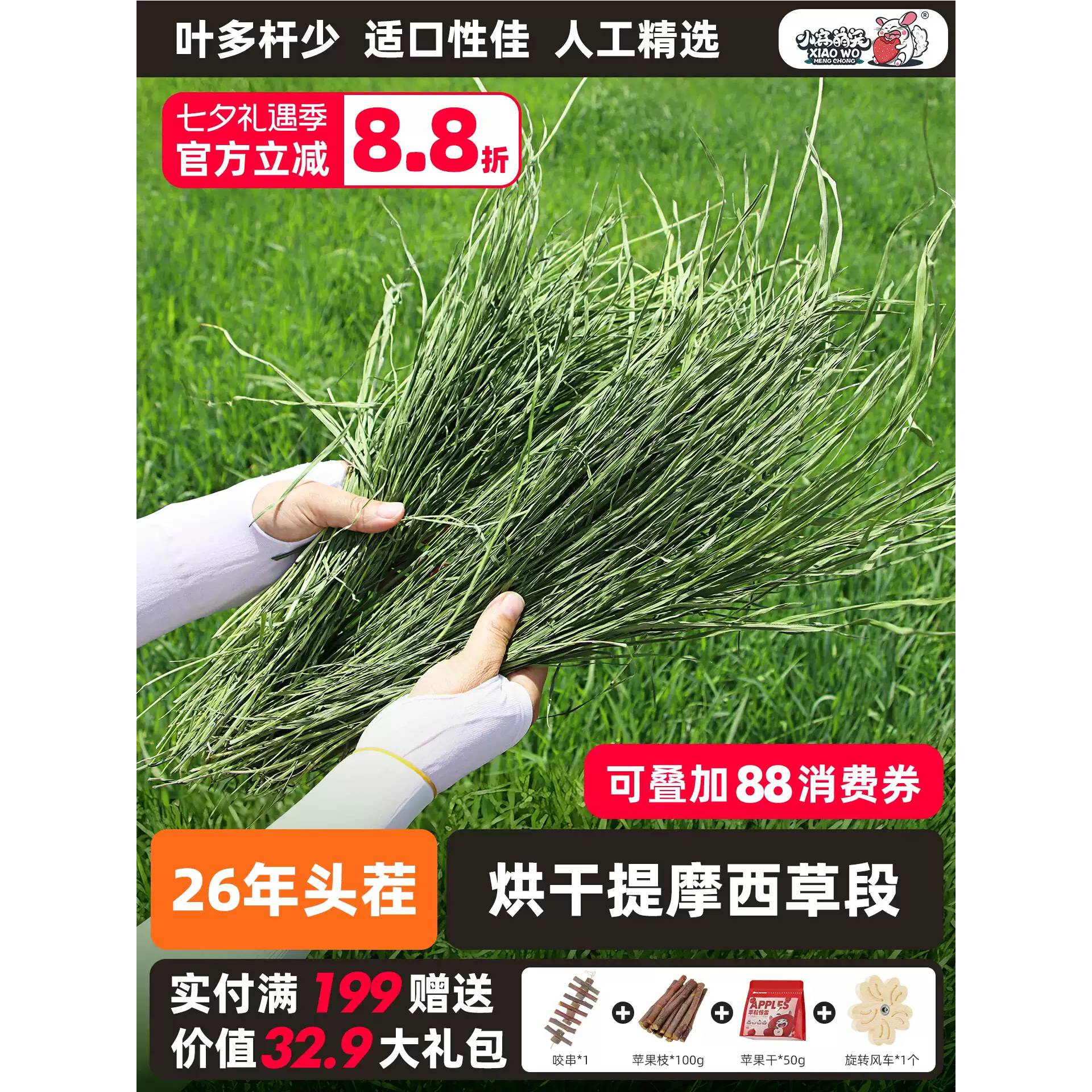 2026年烘干提摩西草段兔兔专用猪
