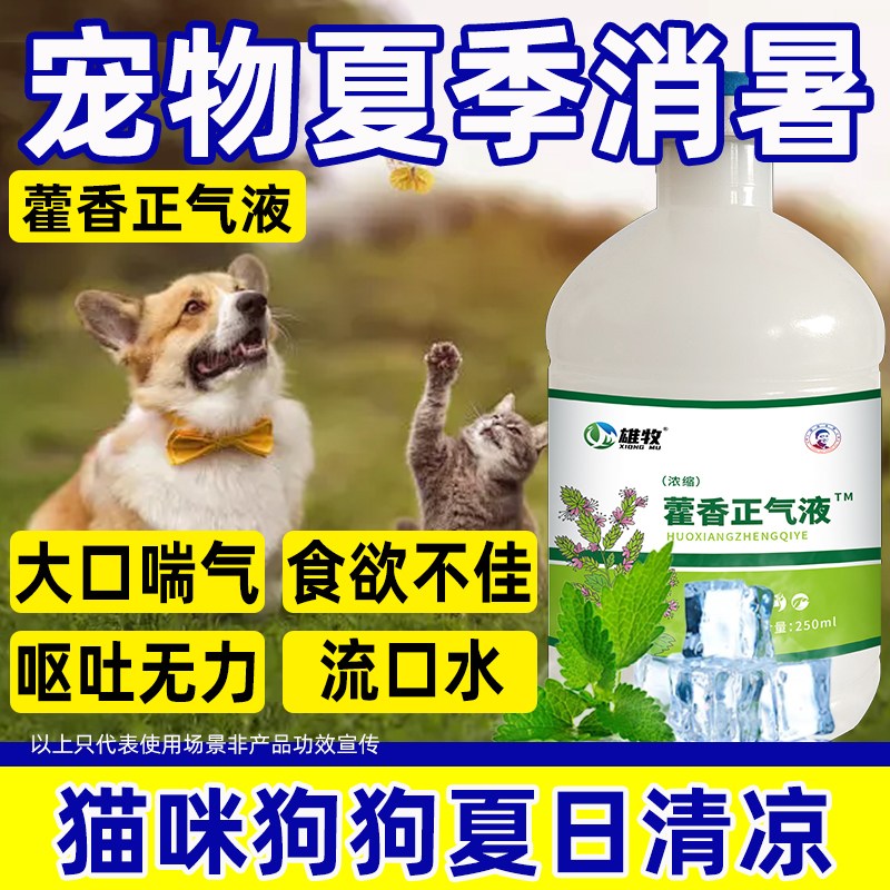 宠物藿香正气液狗狗猫咪夏季解暑清凉消暑开胃厌食流口水呕吐无力