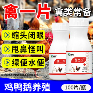 禽一片正品养鸡专用鸡鸭鹅白便水稀啰音怪叫气喘不食鸡温缩头闭眼