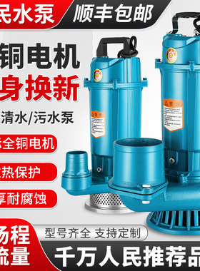 进口潜水泵220v高扬程大流量上海农用灌溉380V抽水污水泵4 6 8寸