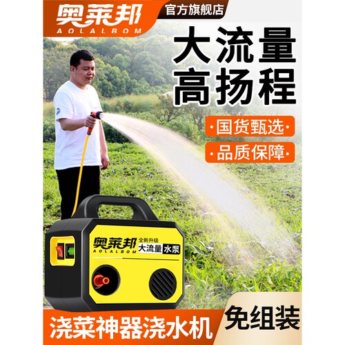 德国进口浇菜神器浇水机农村菜地农用自动浇地充电式锂电抽水机