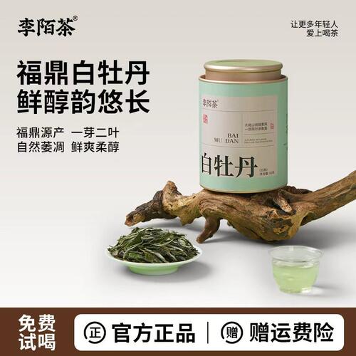 白牡丹白茶正宗福鼎白茶
