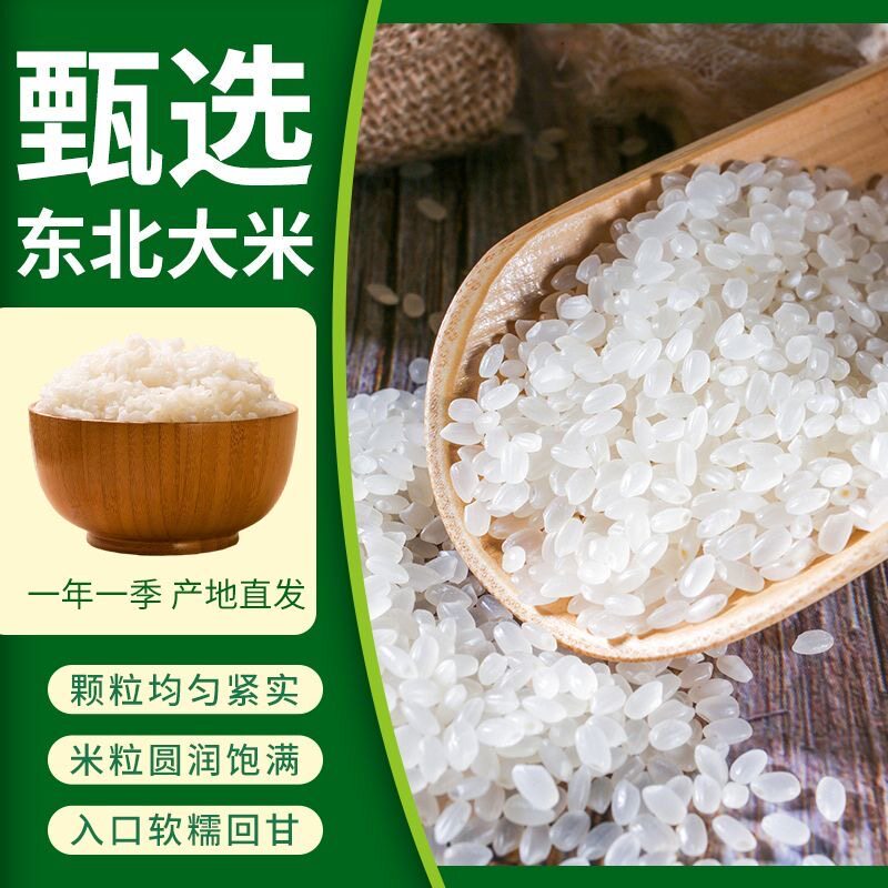 东北稻香米珍珠米当季新米黑土种植圆粒煮饭香宝宝辅食