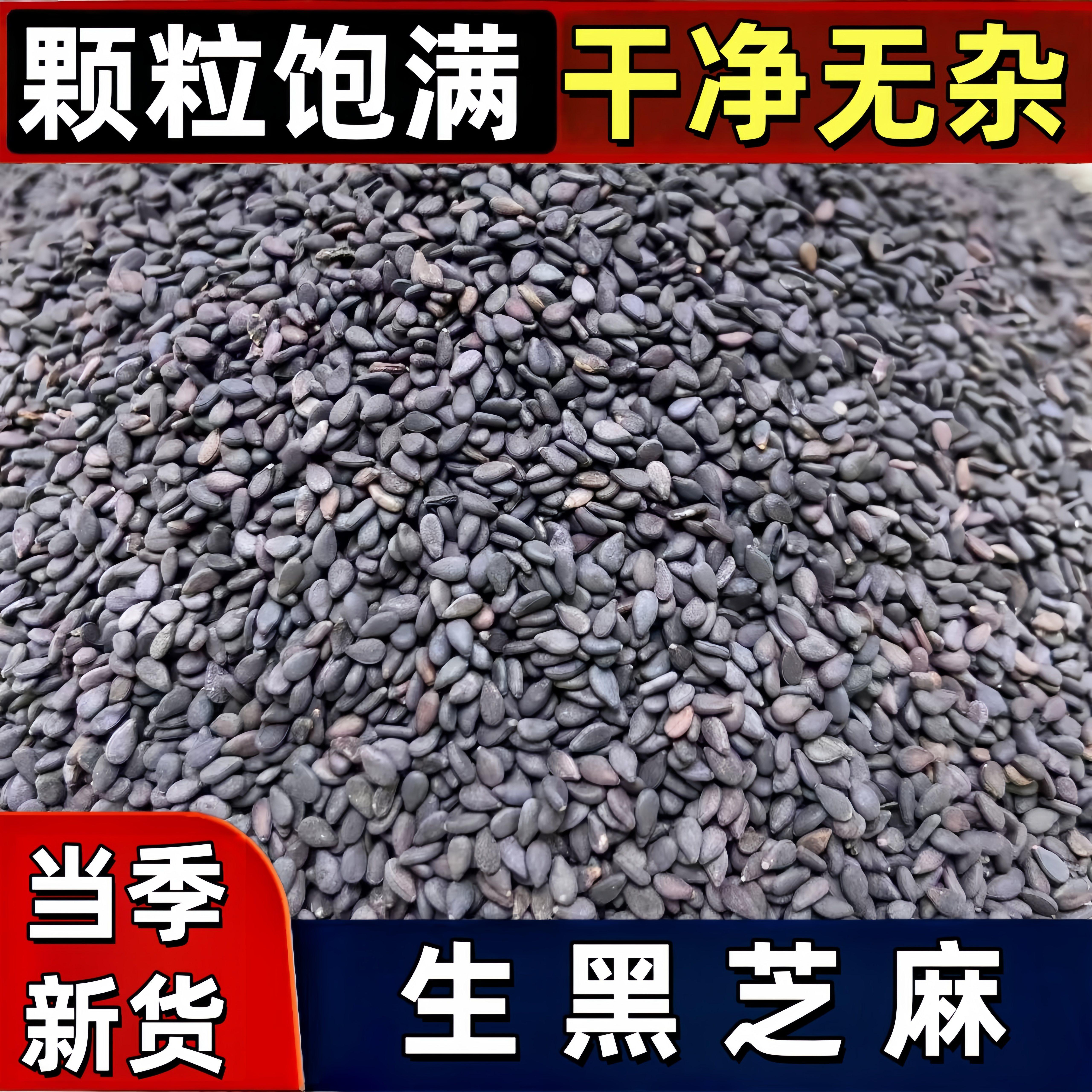 2026年东北农家生黑芝麻产地直发打豆浆新鲜杂粮烘焙榨油打粉真空