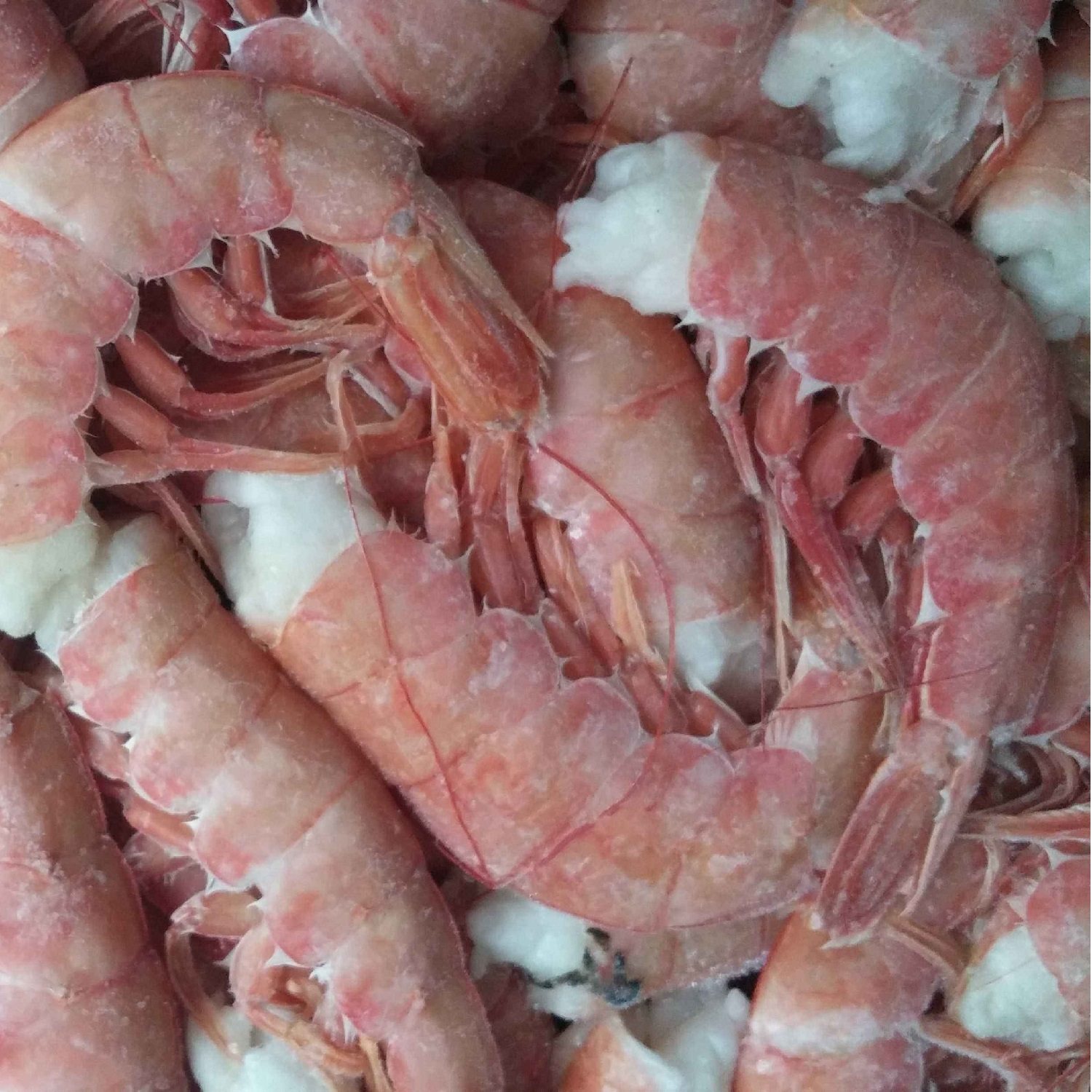 23年2月新阿根廷红虾无头去头红虾尾c1新鲜冷冻海捕大虾顺丰包邮